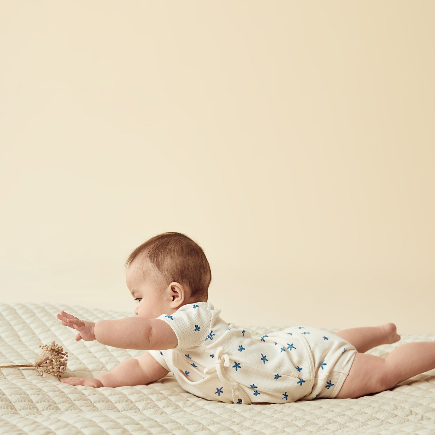 Little Starfish Organic Shorts