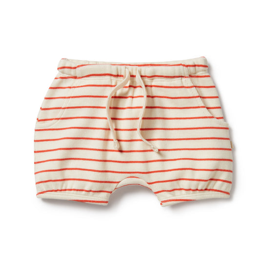 Petit Rouge Organic Bloomer Short