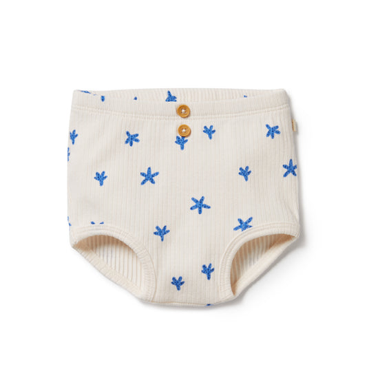 Little Starfish Organic Shorts